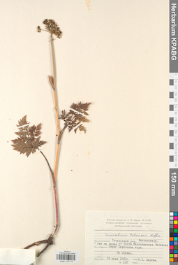 KPABG033114
