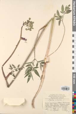 KPABG033283