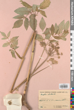 KPABG033315
