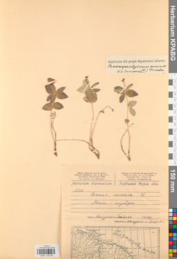 KPABG033385