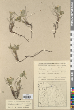 KPABG033498