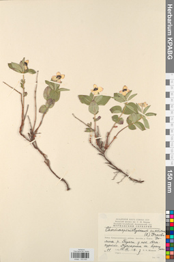 KPABG033430