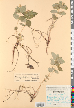KPABG033446