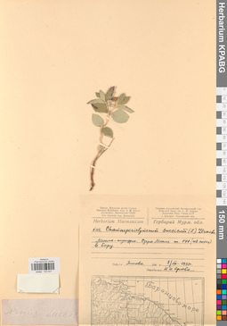 KPABG033447