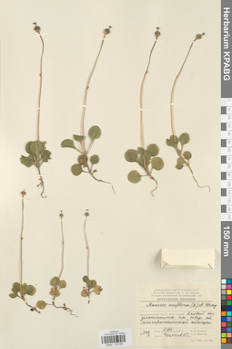 KPABG033546