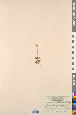 KPABG033559