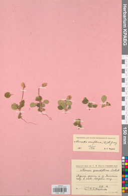 KPABG033567