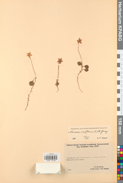 KPABG033568