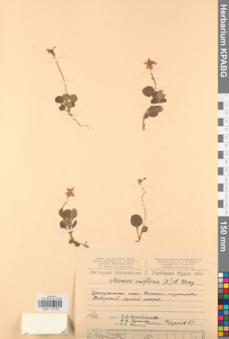 KPABG033580