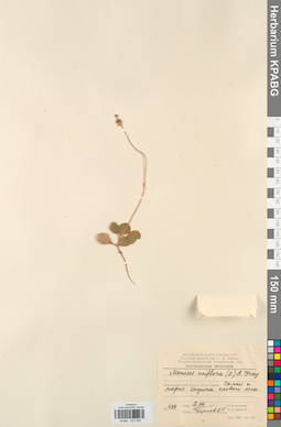 KPABG033589