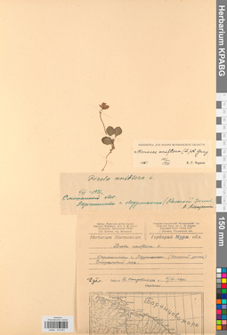 KPABG033601