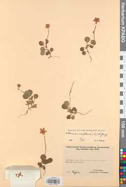 KPABG033602