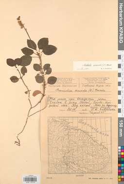 KPABG033616