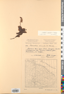 KPABG033619