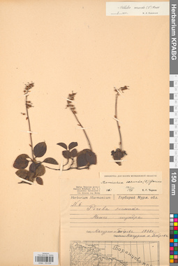 KPABG033638