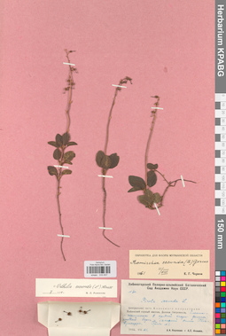 KPABG033657