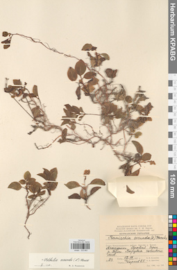 KPABG033662