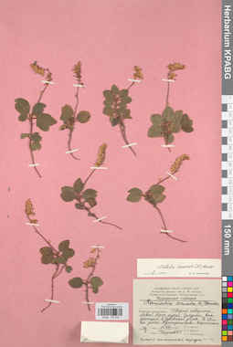 KPABG033690