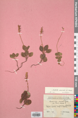 KPABG033694