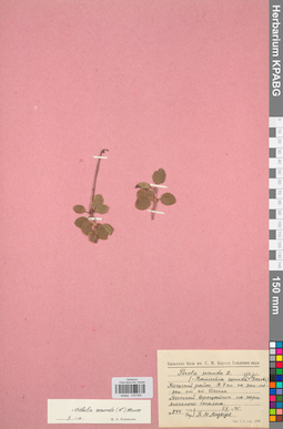 KPABG033695