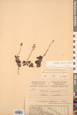 KPABG033736