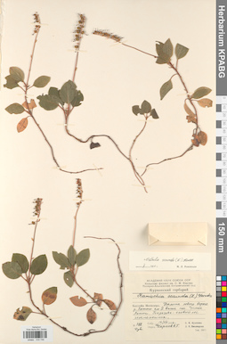 KPABG033746
