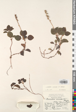 KPABG033749