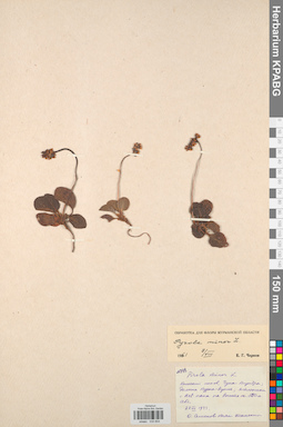 KPABG033804