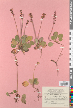 KPABG033831