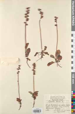KPABG033839