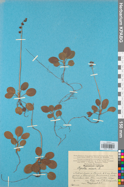 KPABG033843