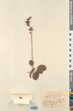 KPABG033859