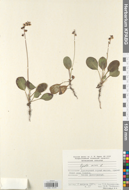 KPABG033876