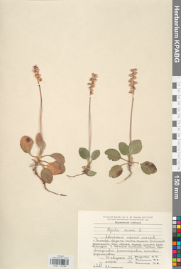 KPABG033889