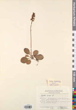 KPABG033890
