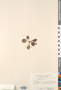 KPABG033892