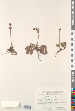 KPABG033893