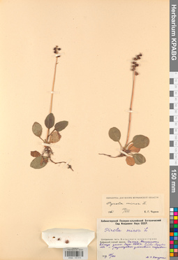 KPABG033915