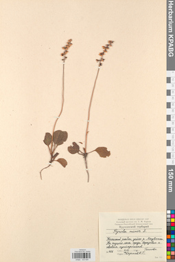 KPABG033926