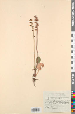 KPABG033938