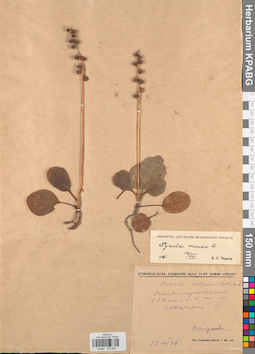 KPABG033939