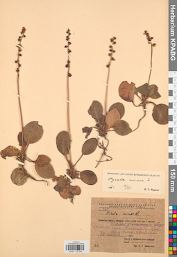 KPABG033948