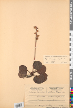 KPABG033997