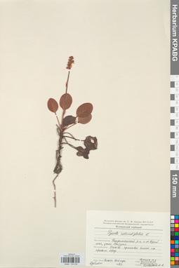 KPABG034038