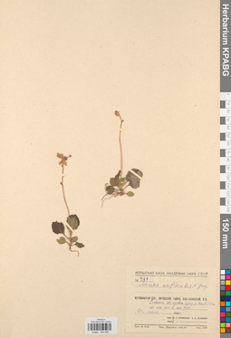 KPABG044994