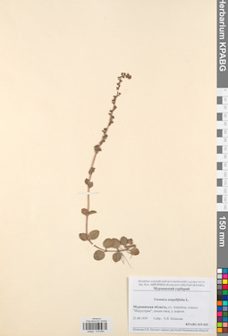 KPABG019693