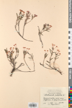 KPABG034427