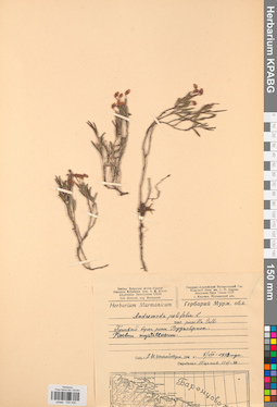 KPABG034436