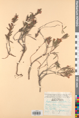KPABG034468