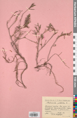 KPABG034480
